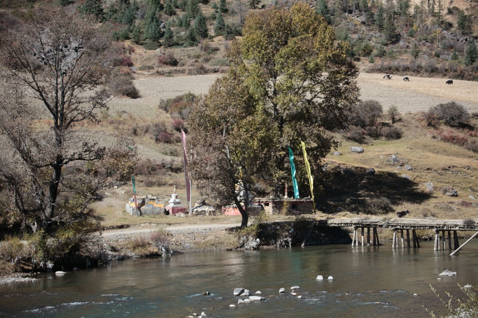 Landscape of Xinduqiao